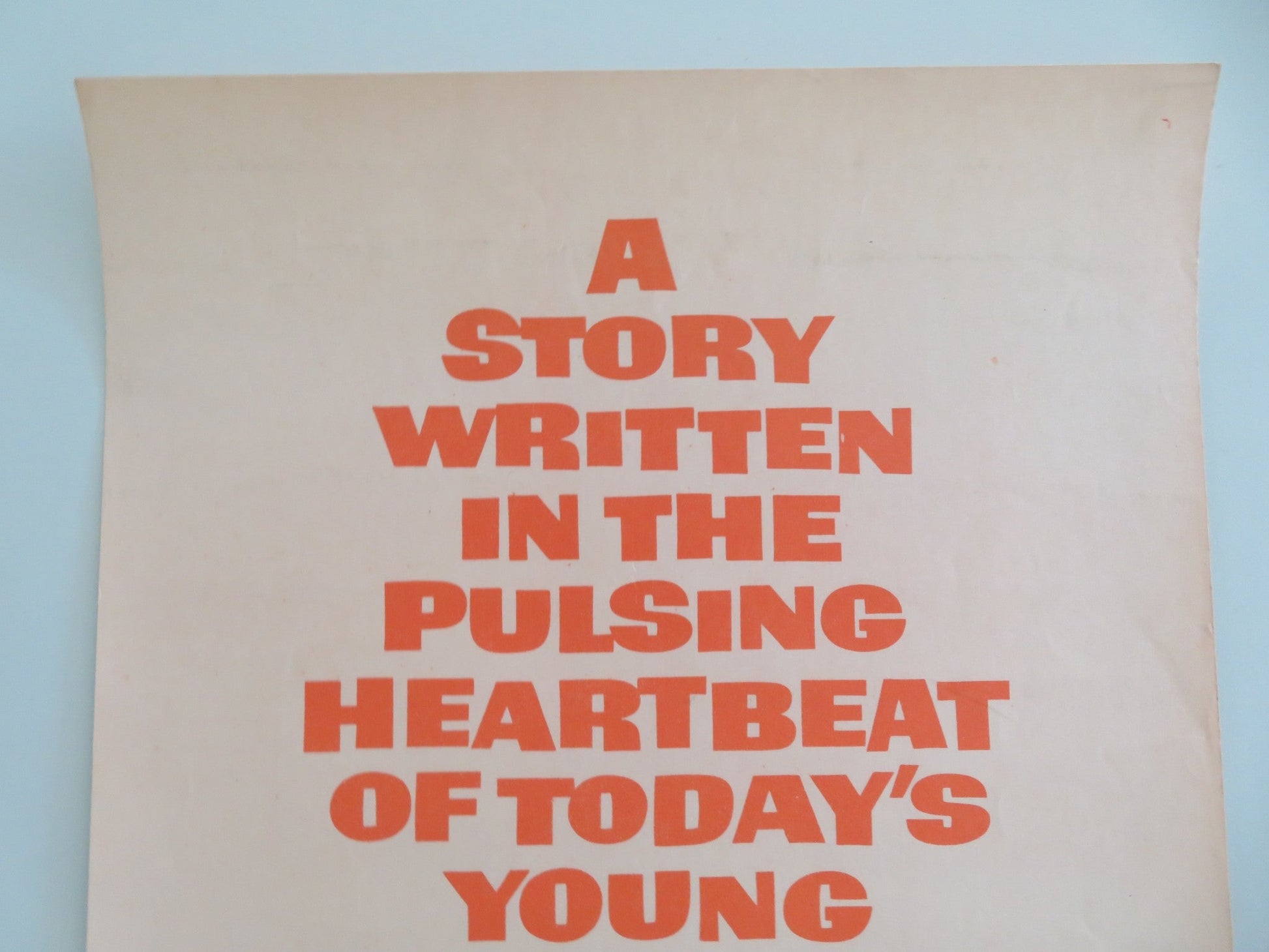 Wild Seed US Insert Poster Michael Parks Celia Kaye 1965 Movie posters