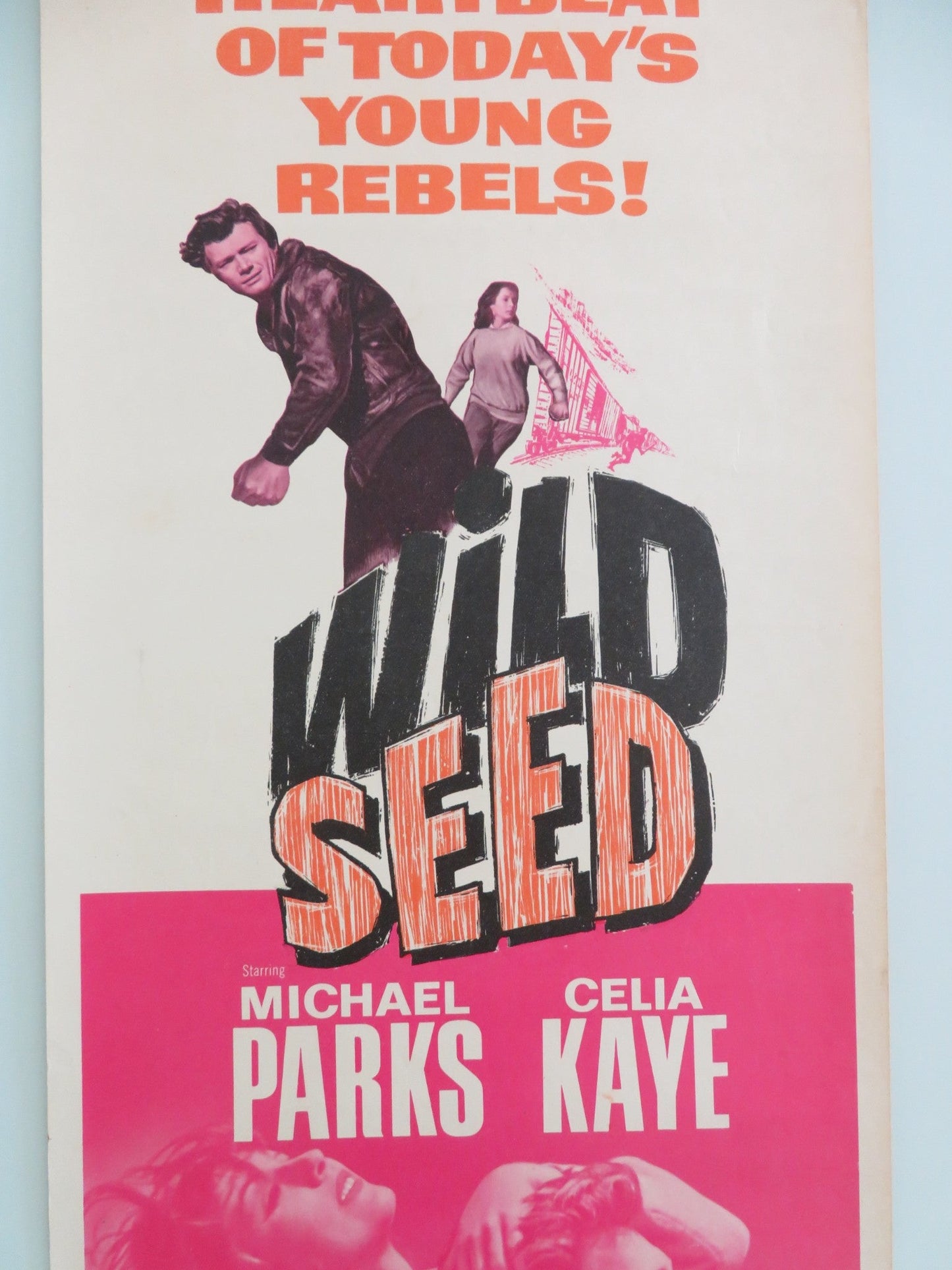 Wild Seed US Insert Poster Michael Parks Celia Kaye 1965 Movie posters