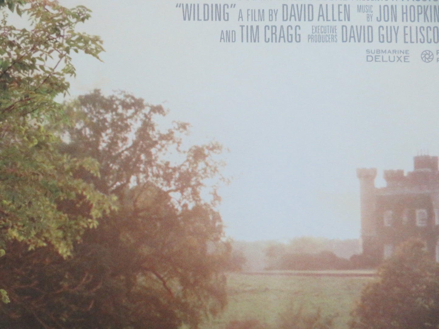WILDING UK QUAD ROLLED POSTER ISABELLA TREE MATTHEW COLLYER 2023 Movie posters