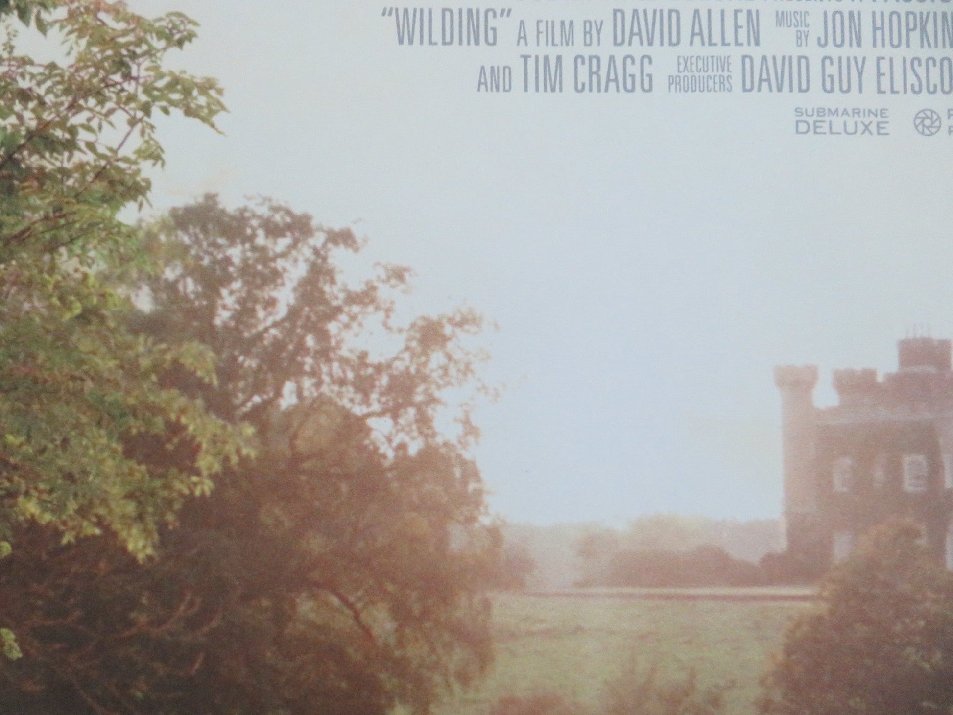 WILDING UK QUAD ROLLED POSTER ISABELLA TREE MATTHEW COLLYER 2023 Movie posters