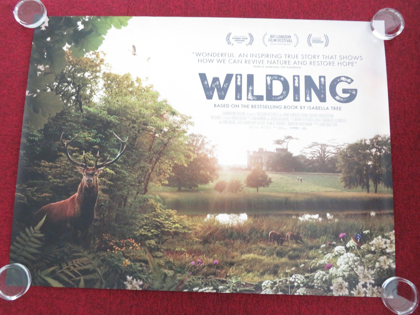 WILDING UK QUAD ROLLED POSTER ISABELLA TREE MATTHEW COLLYER 2023 Movie posters