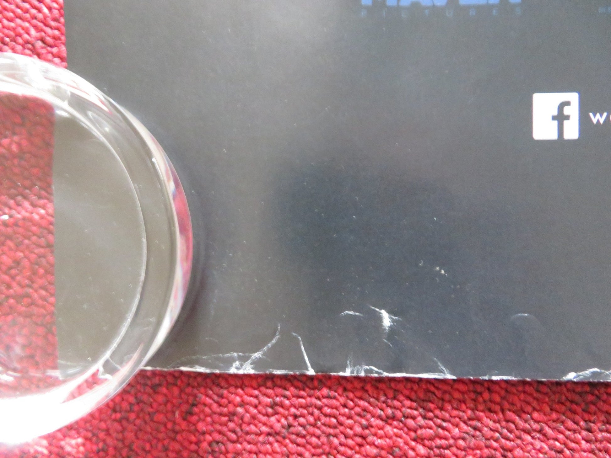 WILDLING UK QUAD ROLLED POSTER BEL POWLEY LIV TYLER 2018 Rendezvous Cinema Movie posters