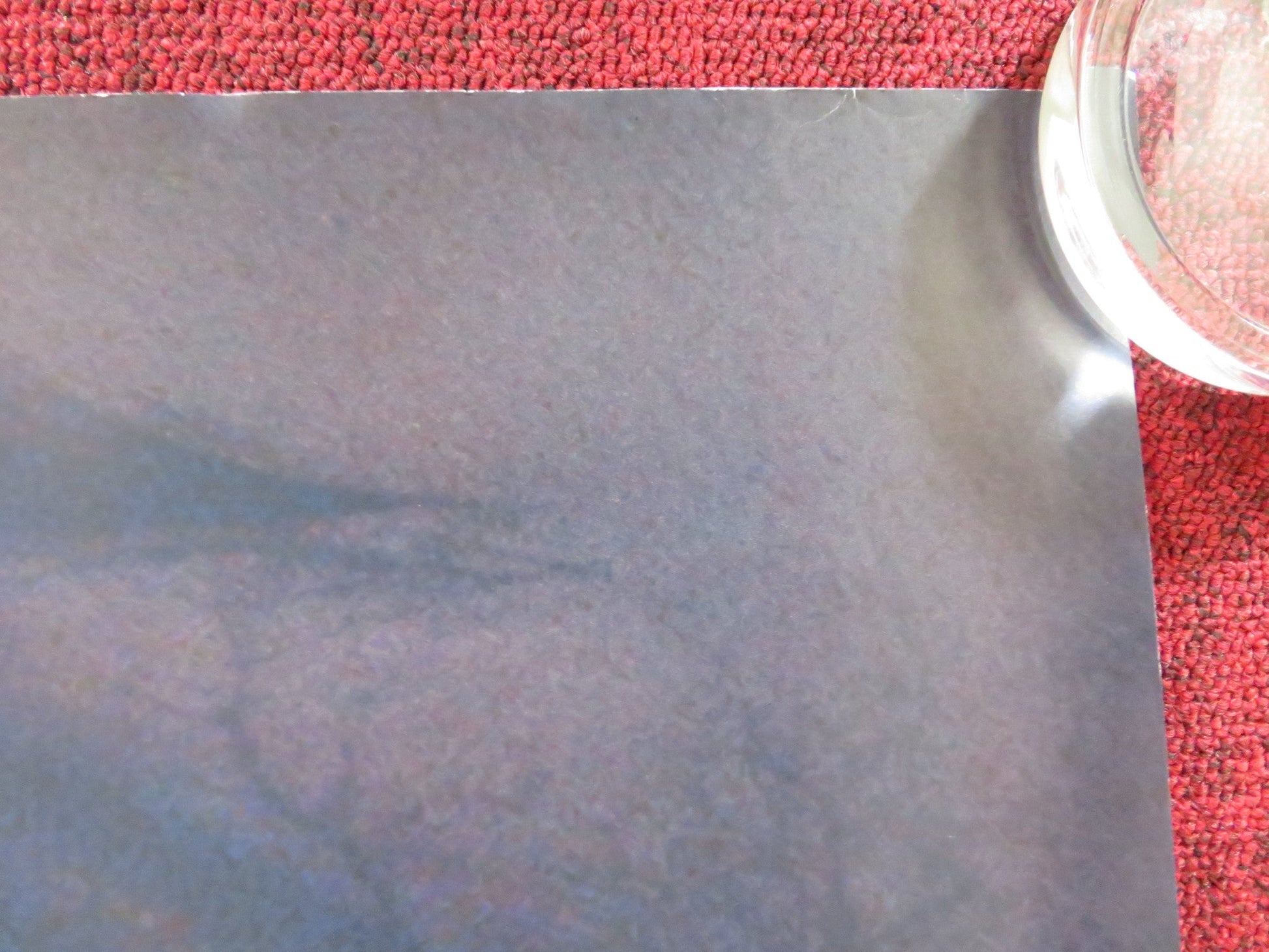 WILDLING UK QUAD ROLLED POSTER BEL POWLEY LIV TYLER 2018 Rendezvous Cinema Movie posters