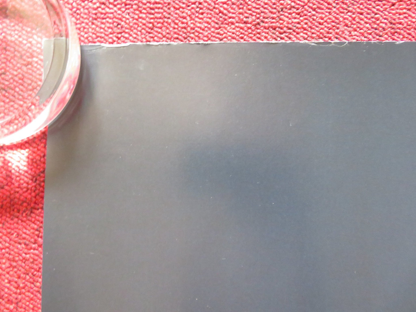 WILDLING UK QUAD ROLLED POSTER BEL POWLEY LIV TYLER 2018 Rendezvous Cinema Movie posters