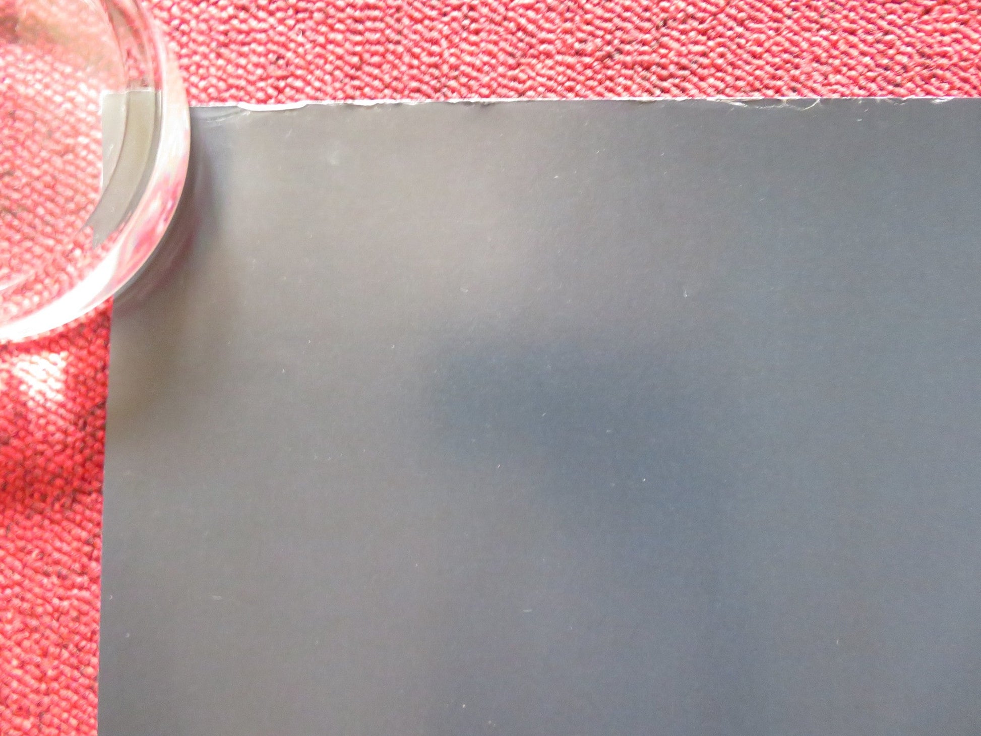 WILDLING UK QUAD ROLLED POSTER BEL POWLEY LIV TYLER 2018 Rendezvous Cinema Movie posters