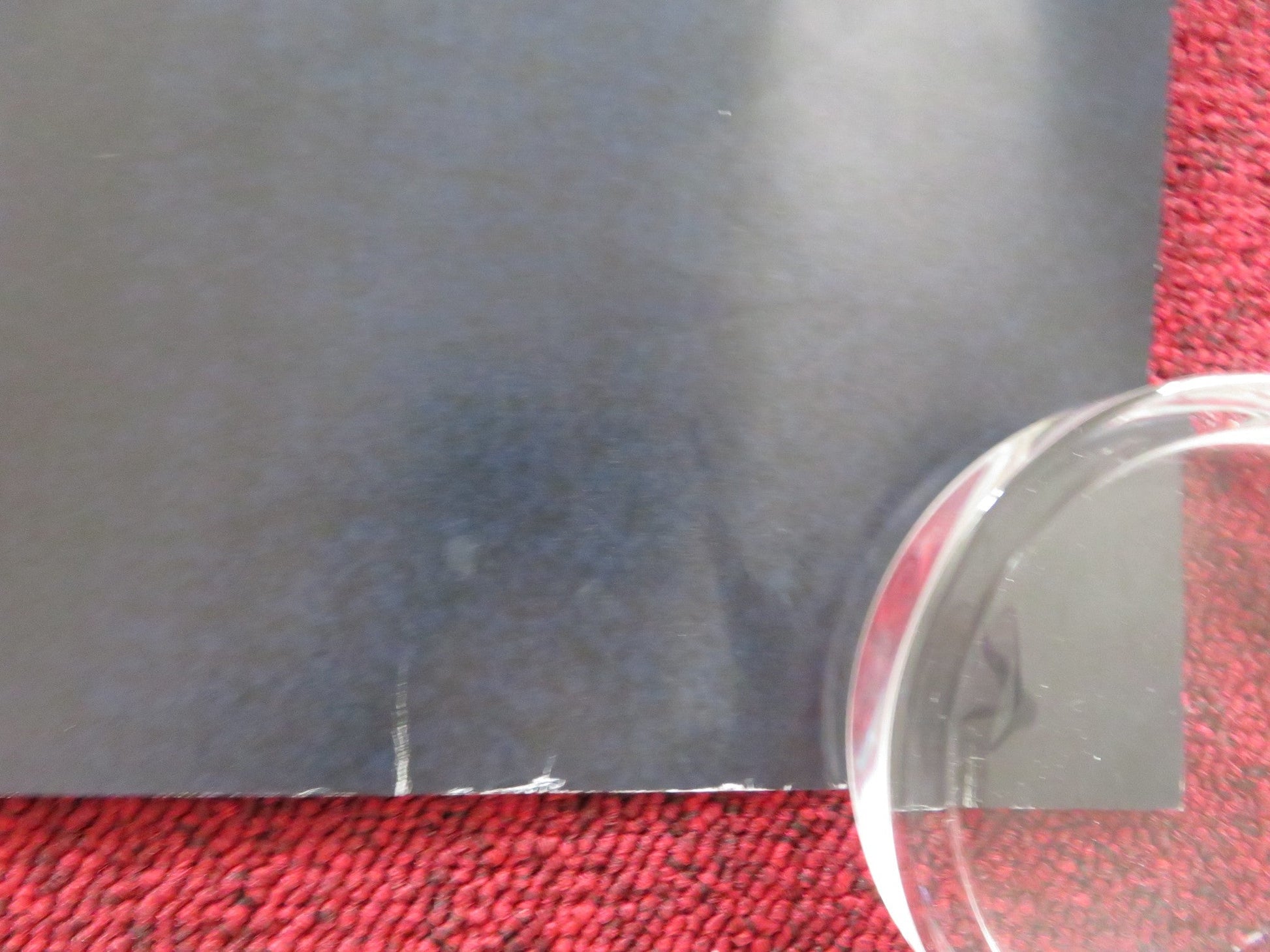 WILDLING UK QUAD ROLLED POSTER BEL POWLEY LIV TYLER 2018 Rendezvous Cinema Movie posters