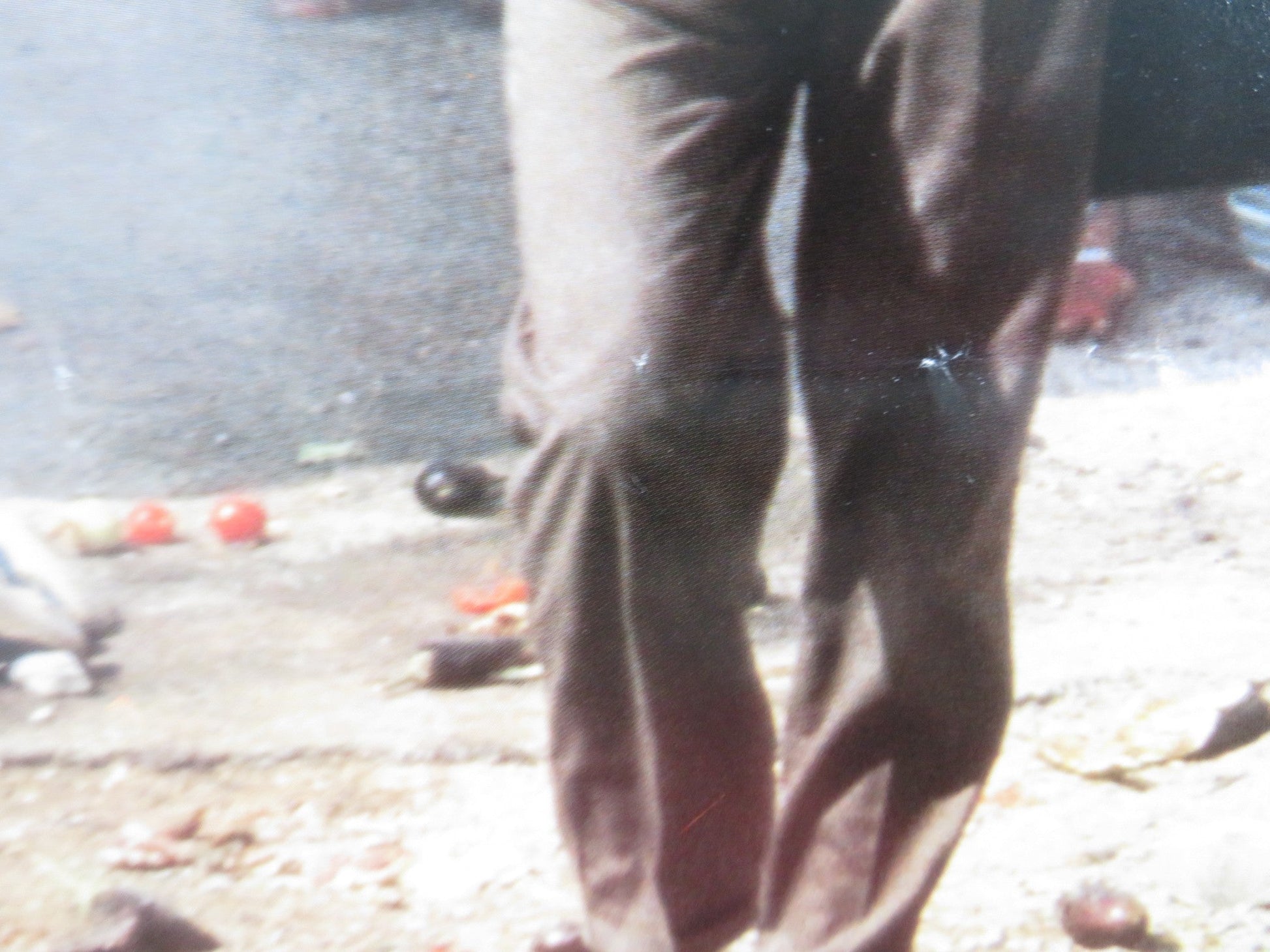 WITNESS IN THE WAR ZONE ITALIAN LOCANDINA POSTER CHRISTOPHER WALKEN 1987 Rendezvous Cinema Movie posters