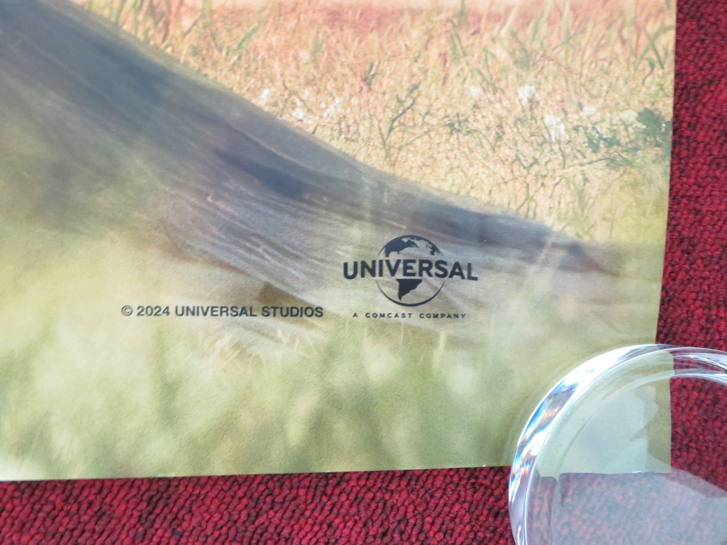 WOMAN IN THE YARD UK QUAD ROLLED POSTER DANIELLE DEADWYLER O. OKPOKWASILI 2025 Movie posters