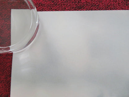 WOMAN IN THE YARD UK QUAD ROLLED POSTER DANIELLE DEADWYLER O. OKPOKWASILI 2025 Movie posters