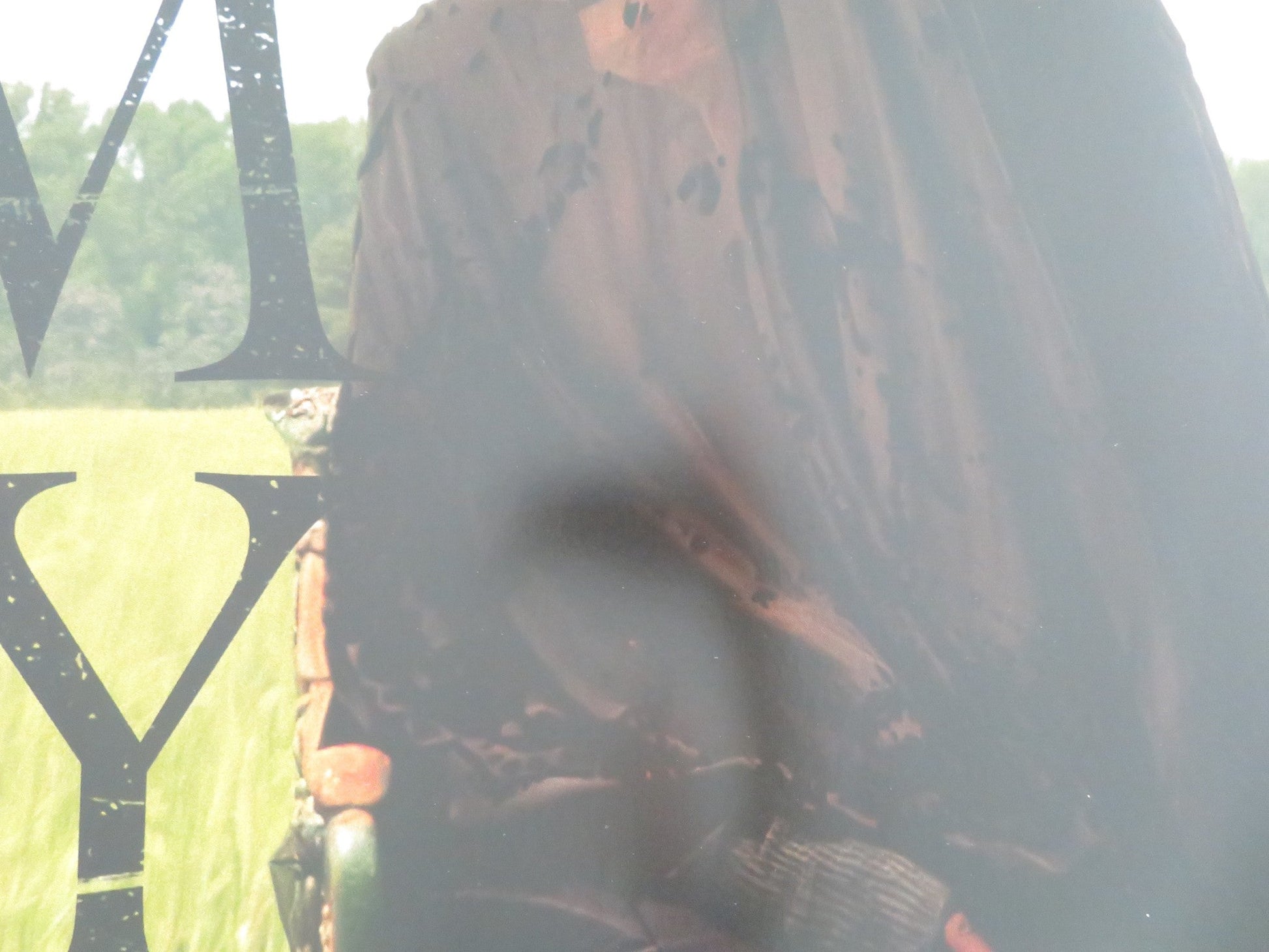 WOMAN IN THE YARD UK QUAD ROLLED POSTER DANIELLE DEADWYLER O. OKPOKWASILI 2025 Movie posters