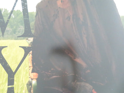 WOMAN IN THE YARD UK QUAD ROLLED POSTER DANIELLE DEADWYLER O. OKPOKWASILI 2025 Movie posters