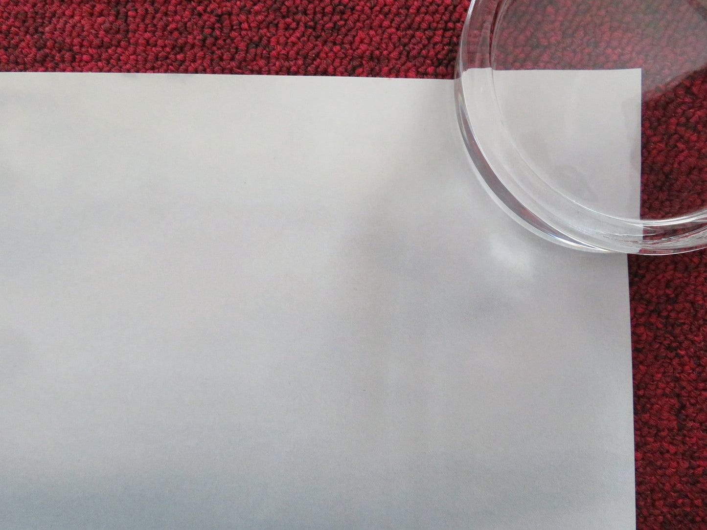 WOMAN IN THE YARD UK QUAD ROLLED POSTER DANIELLE DEADWYLER O. OKPOKWASILI 2025 Movie posters