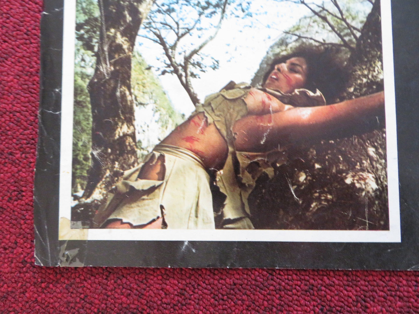 WOMEN IN CAGES - A ITALIAN FOTOBUSTA POSTER JUDY BROWN ROBERA COLLINS 1971 Rendezvous Cinema Movie posters