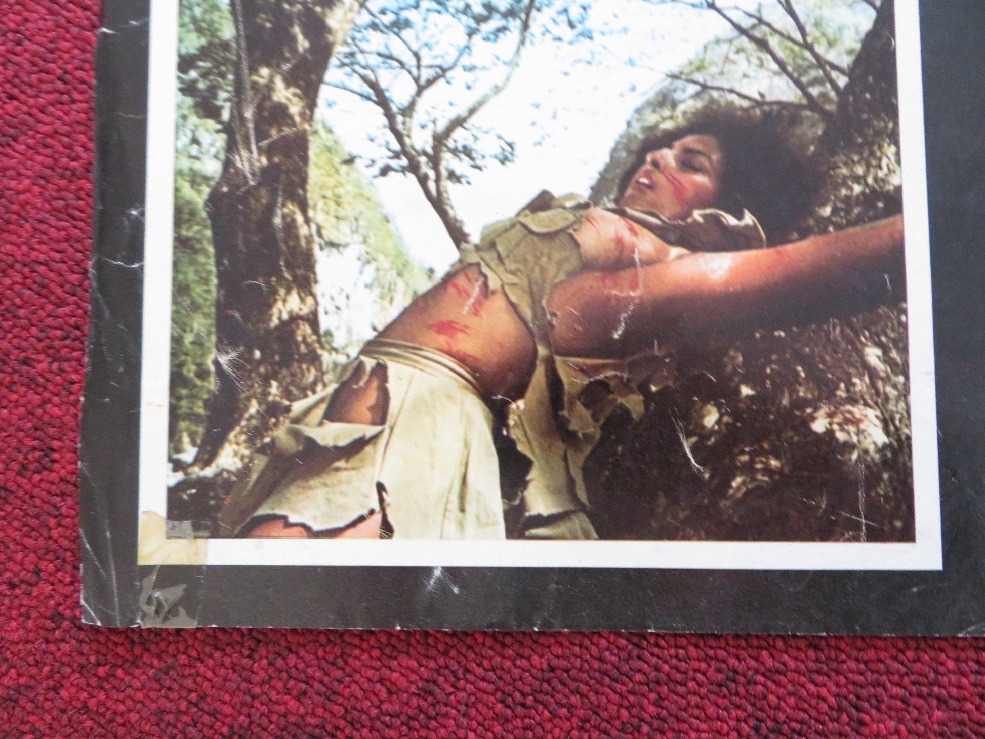 WOMEN IN CAGES - A ITALIAN FOTOBUSTA POSTER JUDY BROWN ROBERA COLLINS 1971 Rendezvous Cinema Movie posters