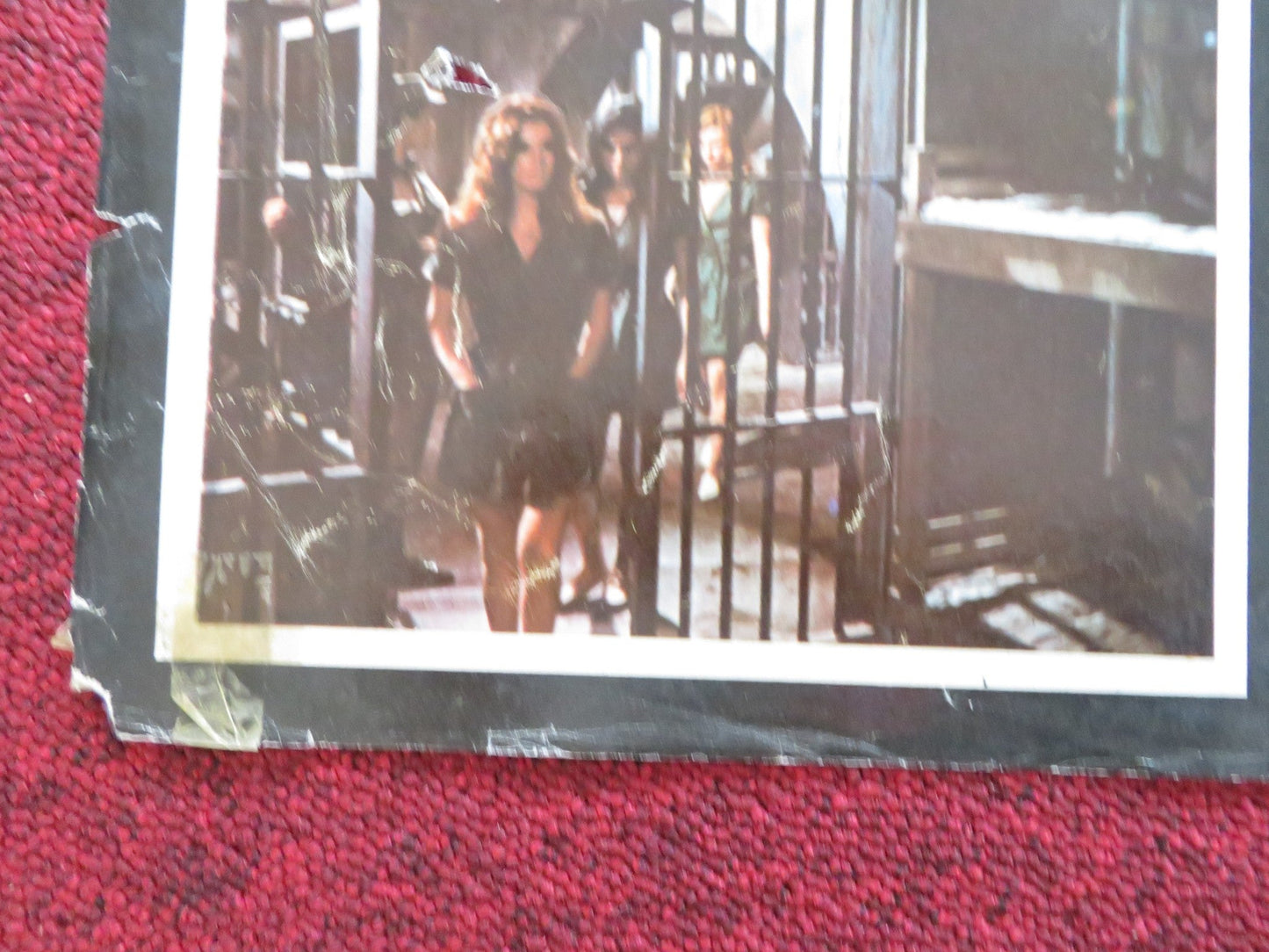 WOMEN IN CAGES - B ITALIAN FOTOBUSTA POSTER JUDY BROWN ROBERA COLLINS 1971 Rendezvous Cinema Movie posters