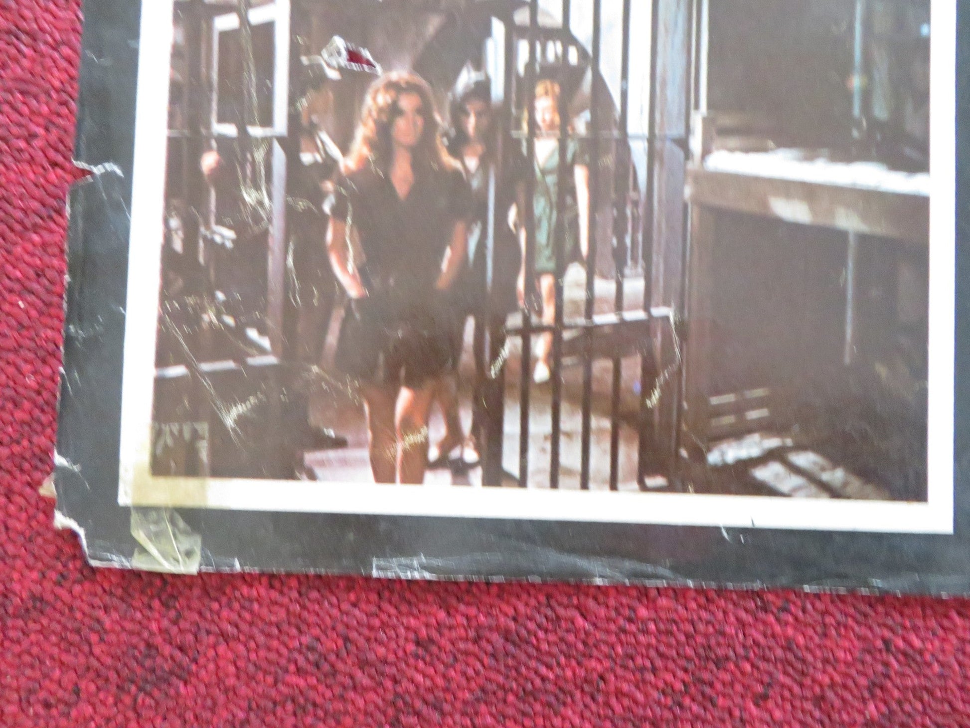 WOMEN IN CAGES - B ITALIAN FOTOBUSTA POSTER JUDY BROWN ROBERA COLLINS 1971 Rendezvous Cinema Movie posters