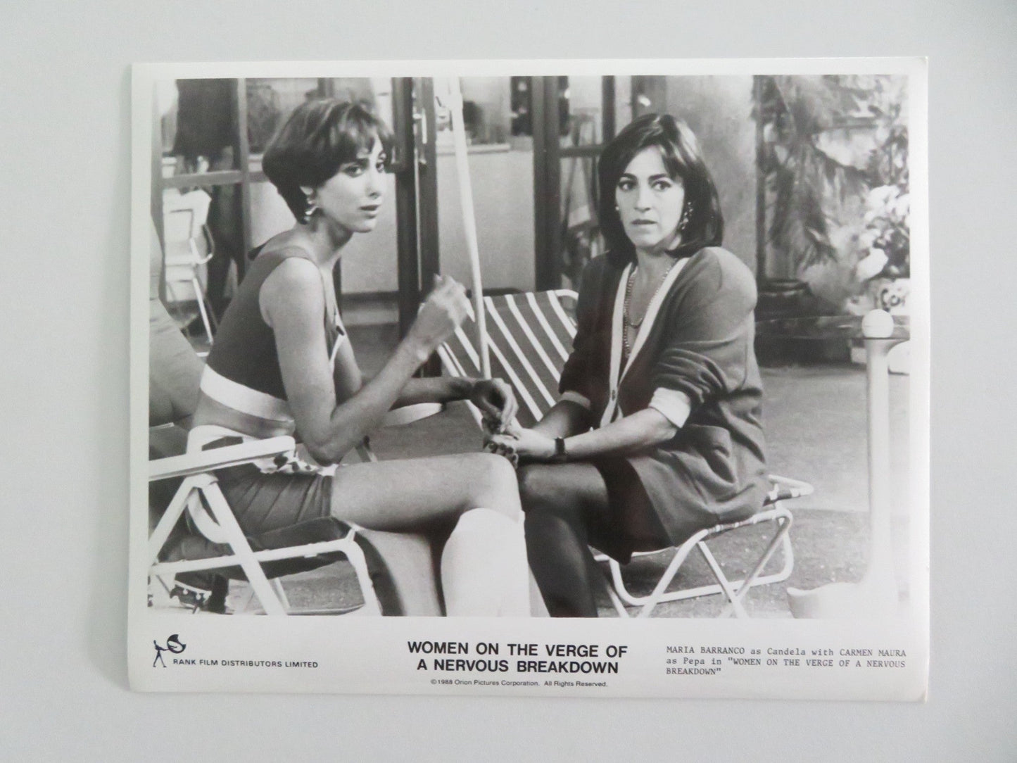 WOMEN ON THE VERGE OF A NERVOUS BREAKDOWN MOVIE STILL PHOTO LOT OF 8 1988 Movie posters