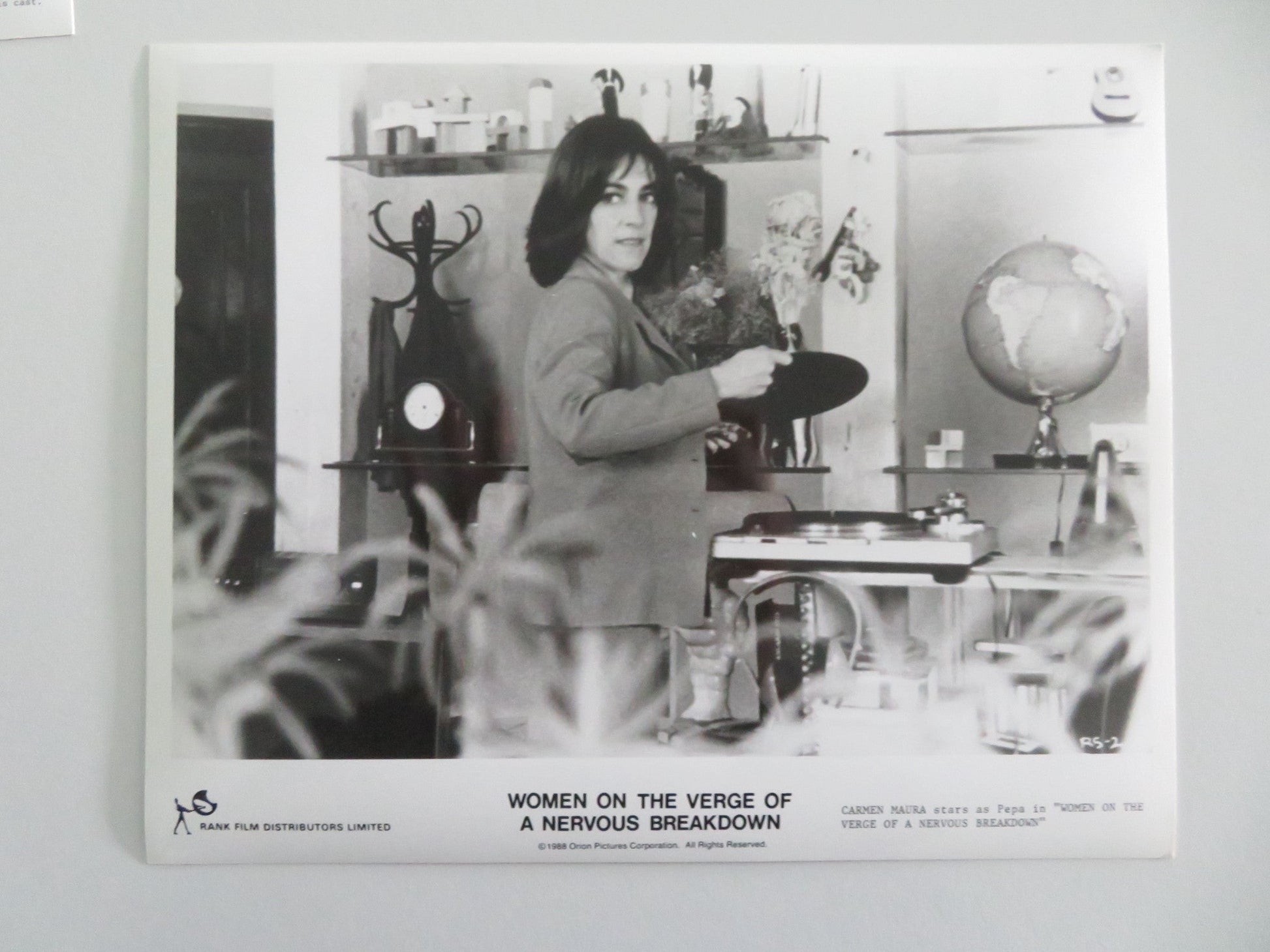 WOMEN ON THE VERGE OF A NERVOUS BREAKDOWN MOVIE STILL PHOTO LOT OF 8 1988 Movie posters