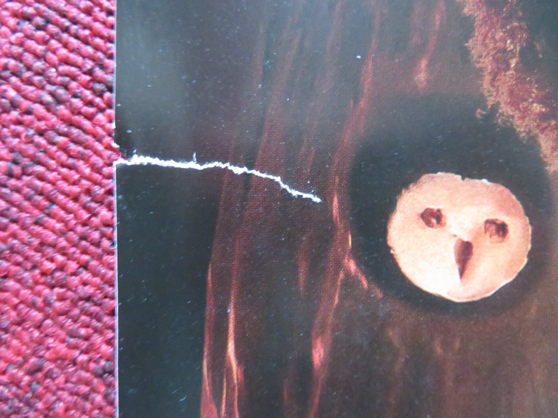 WONKA UK QUAD ROLLED POSTER TIMOTHEE CHALAMET OLIVIA COLMAN 2023 Rendezvous Cinema Movie posters