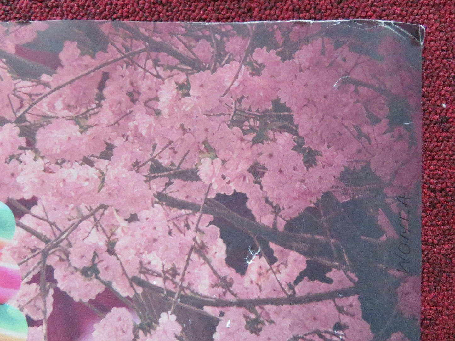 WONKA UK QUAD ROLLED POSTER TIMOTHEE CHALAMET OLIVIA COLMAN 2023 Rendezvous Cinema Movie posters