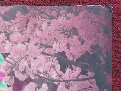 WONKA UK QUAD ROLLED POSTER TIMOTHEE CHALAMET OLIVIA COLMAN 2023 Rendezvous Cinema Movie posters