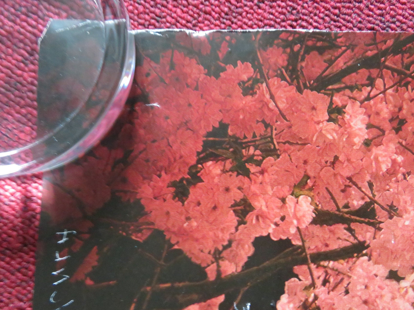 WONKA UK QUAD ROLLED POSTER TIMOTHEE CHALAMET OLIVIA COLMAN 2023 Rendezvous Cinema Movie posters