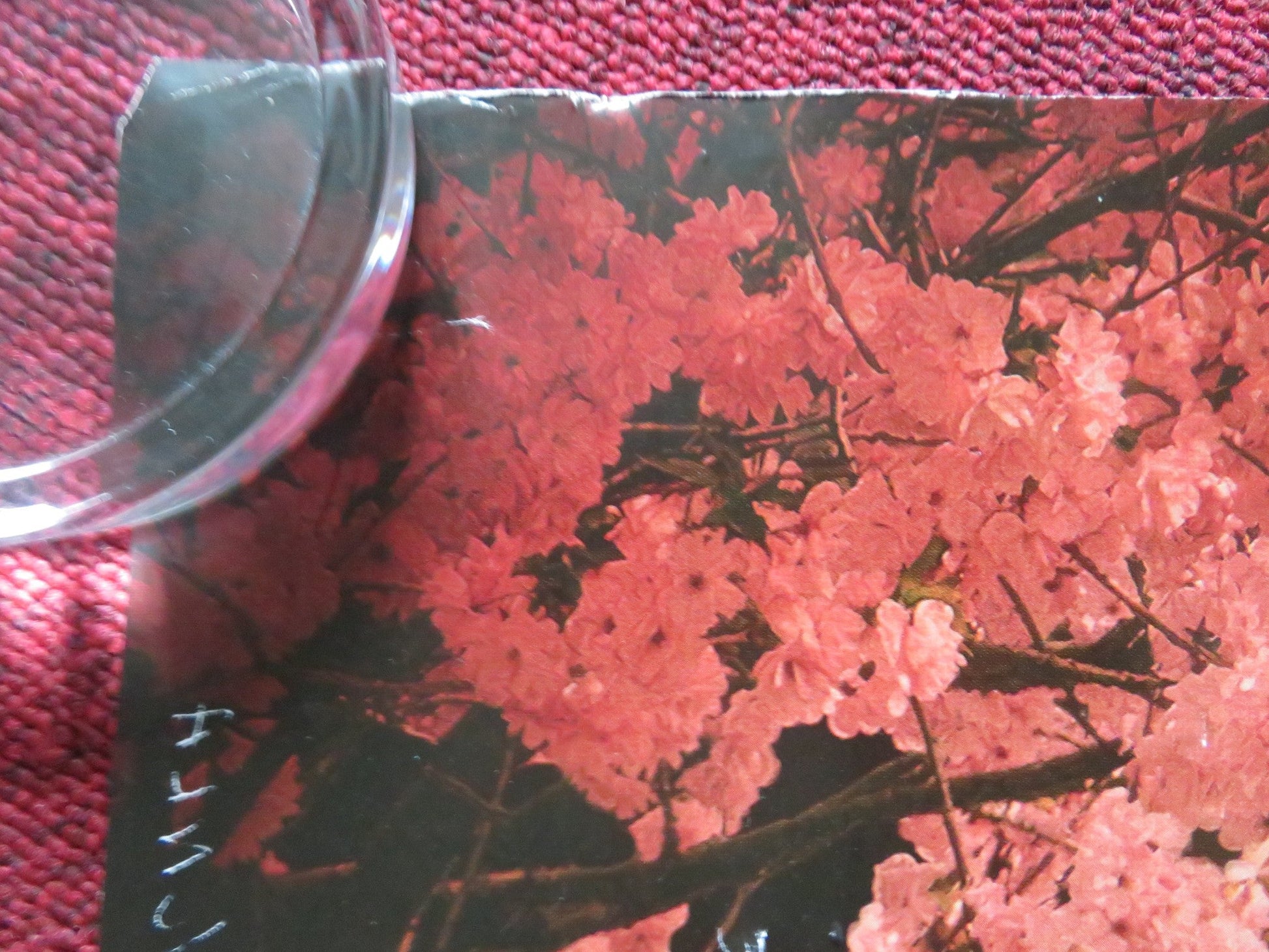 WONKA UK QUAD ROLLED POSTER TIMOTHEE CHALAMET OLIVIA COLMAN 2023 Rendezvous Cinema Movie posters