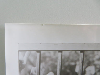 WRONG IS RIGHT - B MOVIE STILL PHOTO LOT OF 3 SEAN CONNERY KATHARINE ROSS 1982 Movie posters