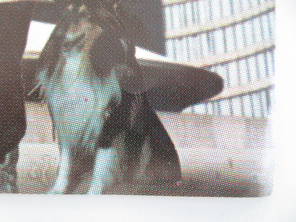 YETI: GIANT OF THE 20TH CENTURY ITALIAN FOTOBUSTA POSTER INTERLENGHI 1977 Movie posters