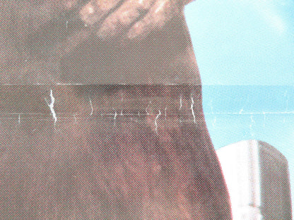 YETI: GIANT OF THE 20TH CENTURY ITALIAN FOTOBUSTA POSTER INTERLENGHI 1977 Movie posters