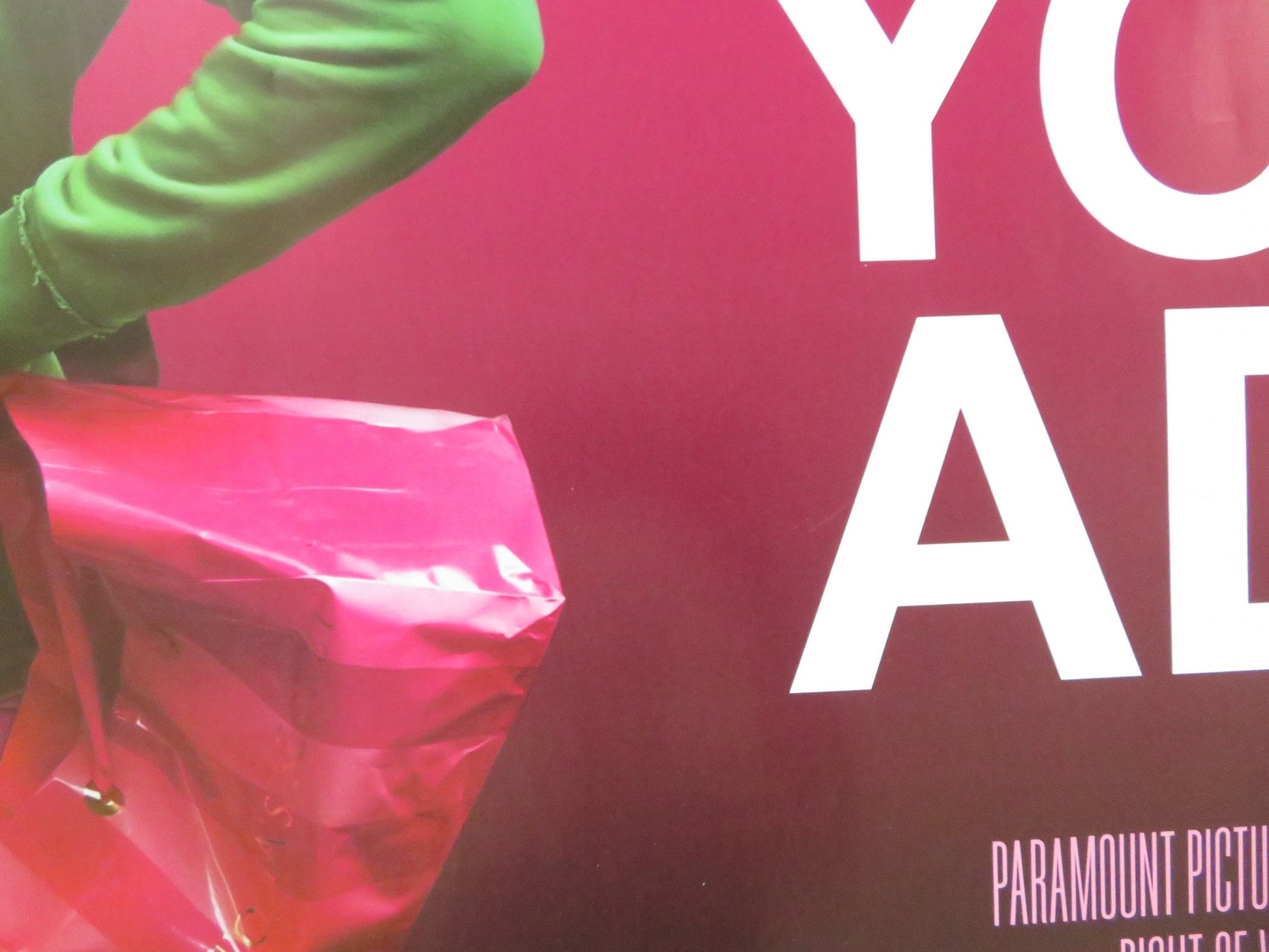 YOUNG ADULT UK QUAD ROLLED POSTER CHARLIZE THERON PATTON OSWALT 2011 Rendezvous Cinema Movie posters