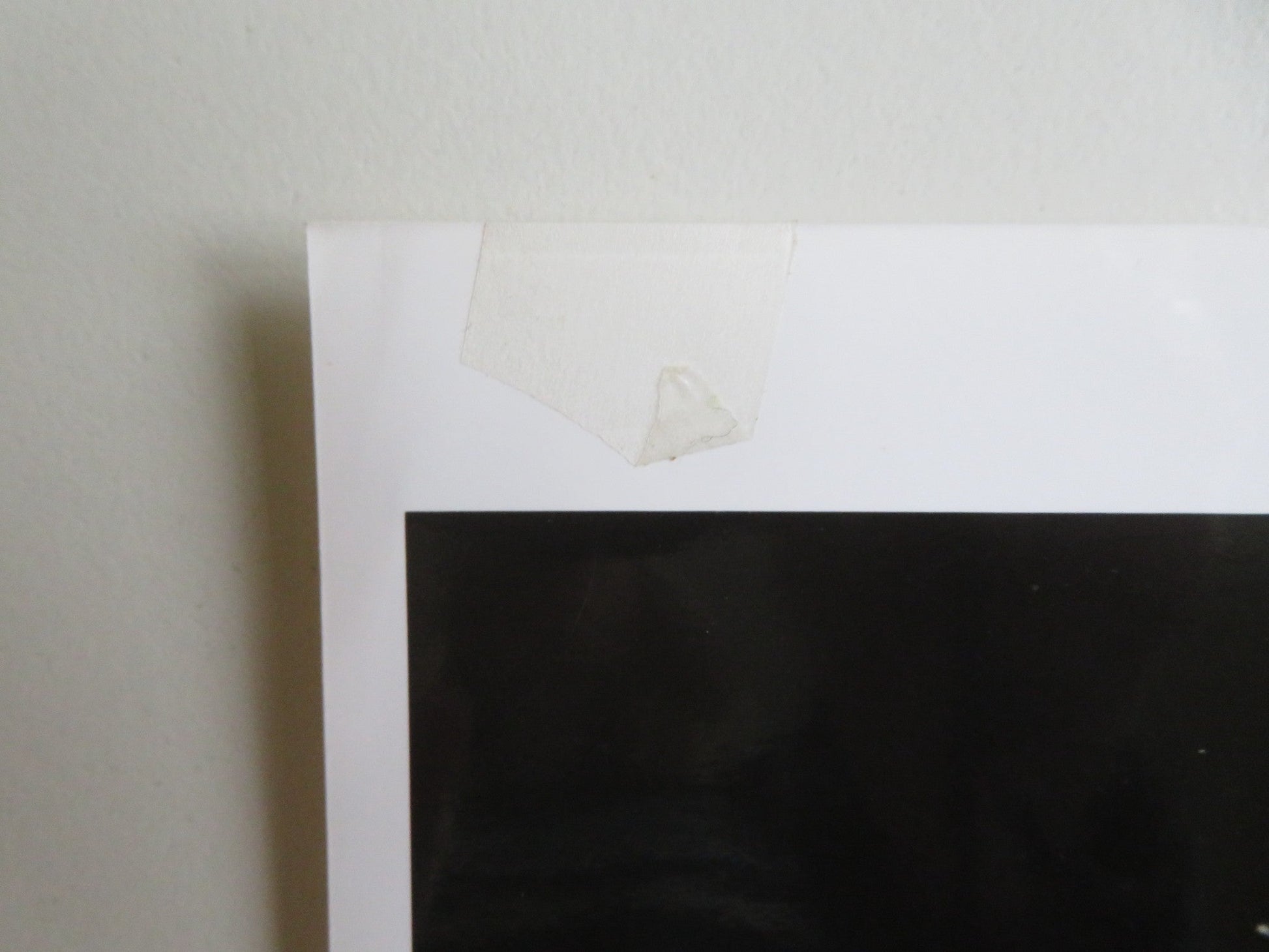 YOUNG EINSTEIN PRESS KIT 1988 YAHOO SERIOUS JOHN HOWARD Movie posters