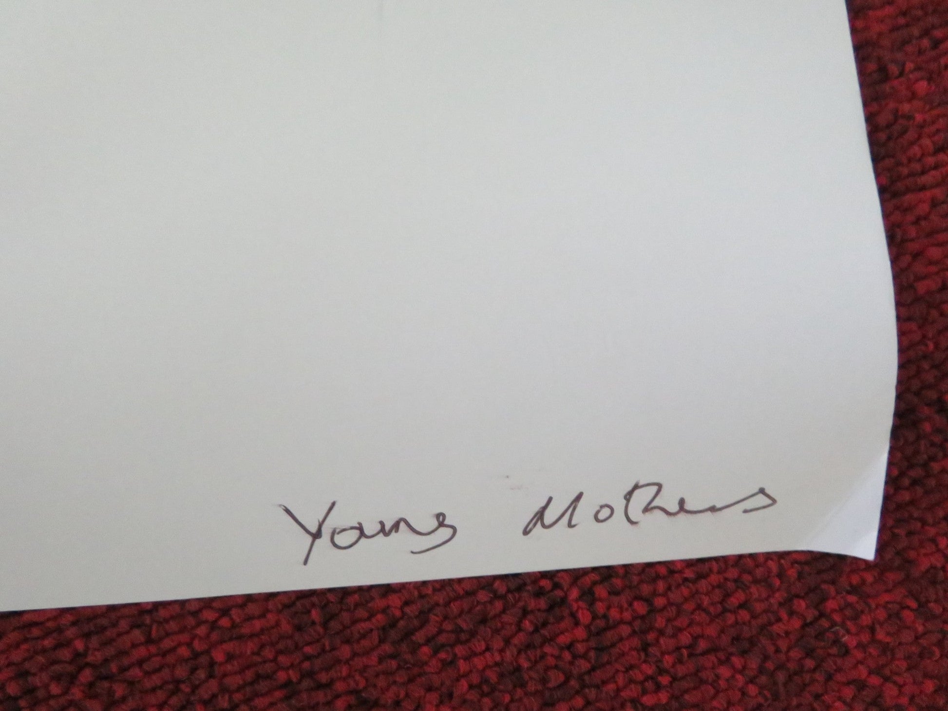 YOUNG MOTHERS UK QUAD ROLLED POSTER BABETTE VERBEEK ELSA HOUBEN 2025 Movie posters