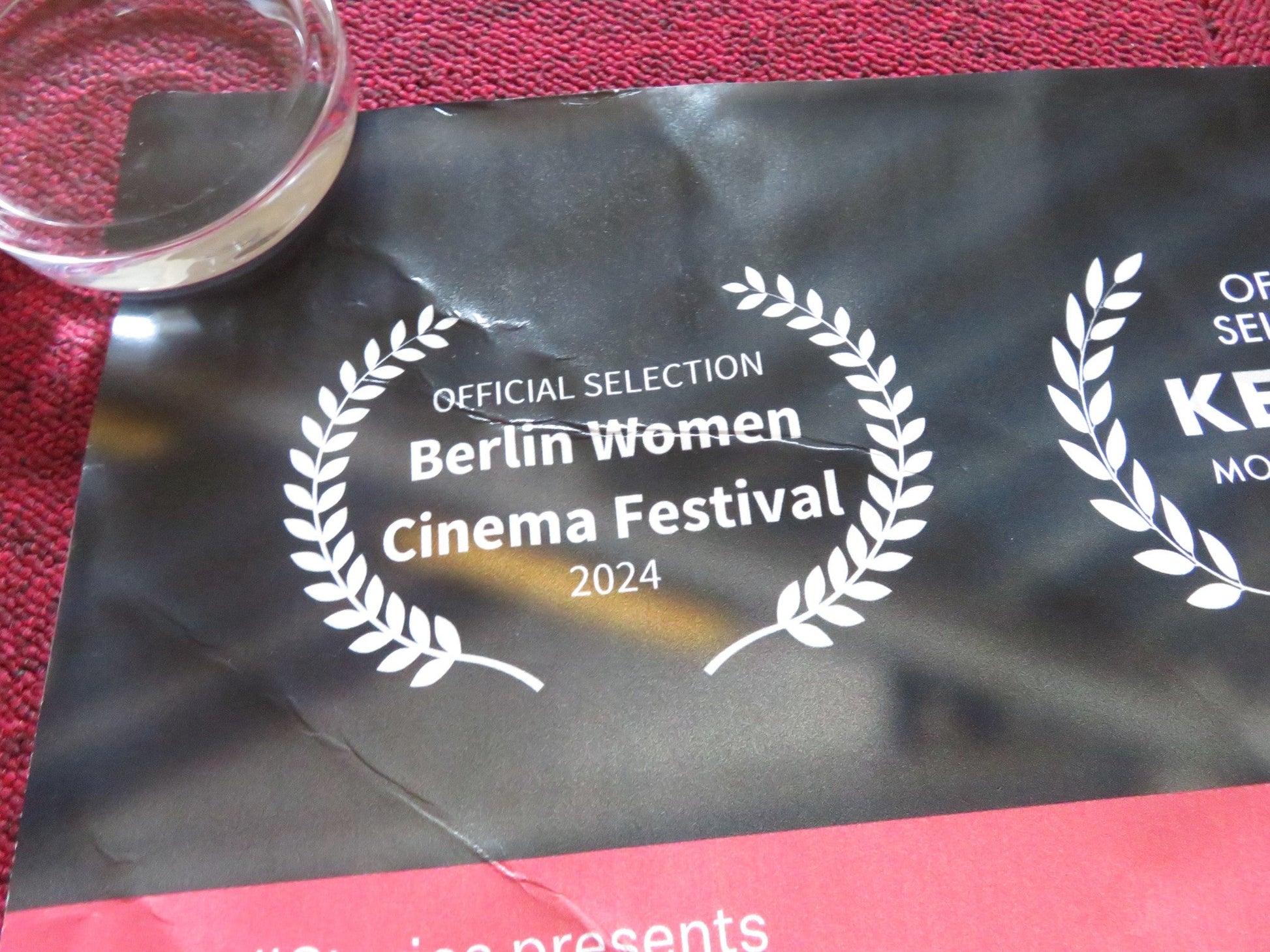 YOUNGER UK QUAD ROLLED POSTER DOROTHY FRASER 2024 Rendezvous Cinema Movie posters