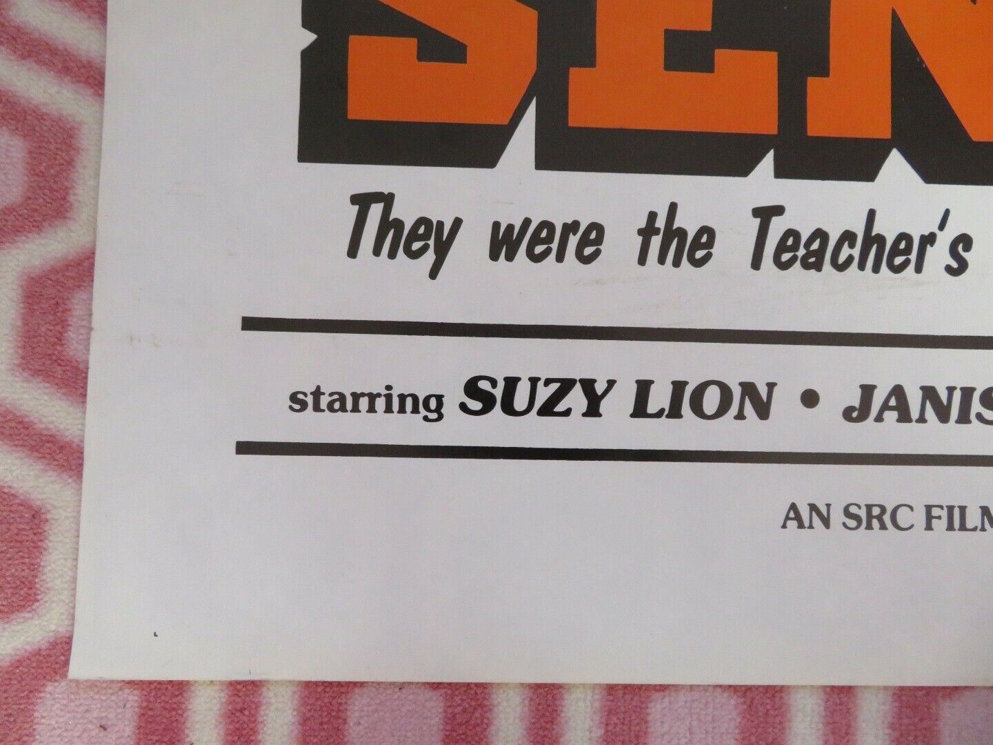SIZZLING SENIORS ADULT FOLDED US ONE SHEET POSTER  SUZY LION JANIS SORORITY 1976