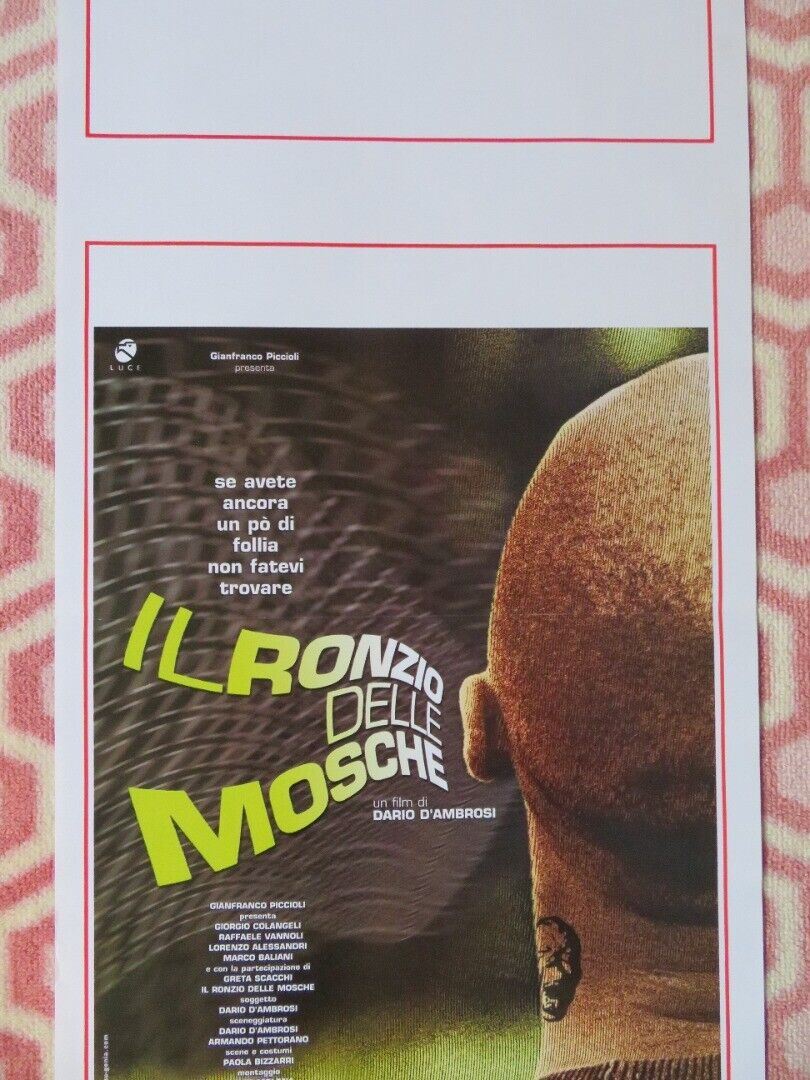 IL RONZIO DELLE MOSCHE ITALIAN LOCANDINA (27.5"x13") POSTER DARIO D'AMBROSI 2003