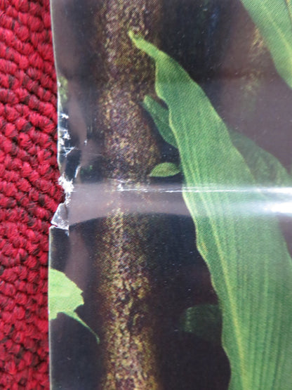 ATTENTI AL GORILLA ITALIAN LOCANDINA POSTER F. MATANO CRISTIANA CAPOTONDI 2019 Rendezvous Cinema Movie posters