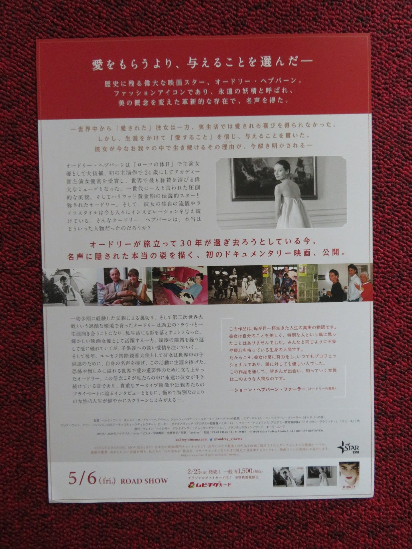 AUDREY MORE THAN AN ICON JAPANESE CHIRASHI (B5) POSTER HELENA COAN 2020 Rendezvous Cinema Movie posters