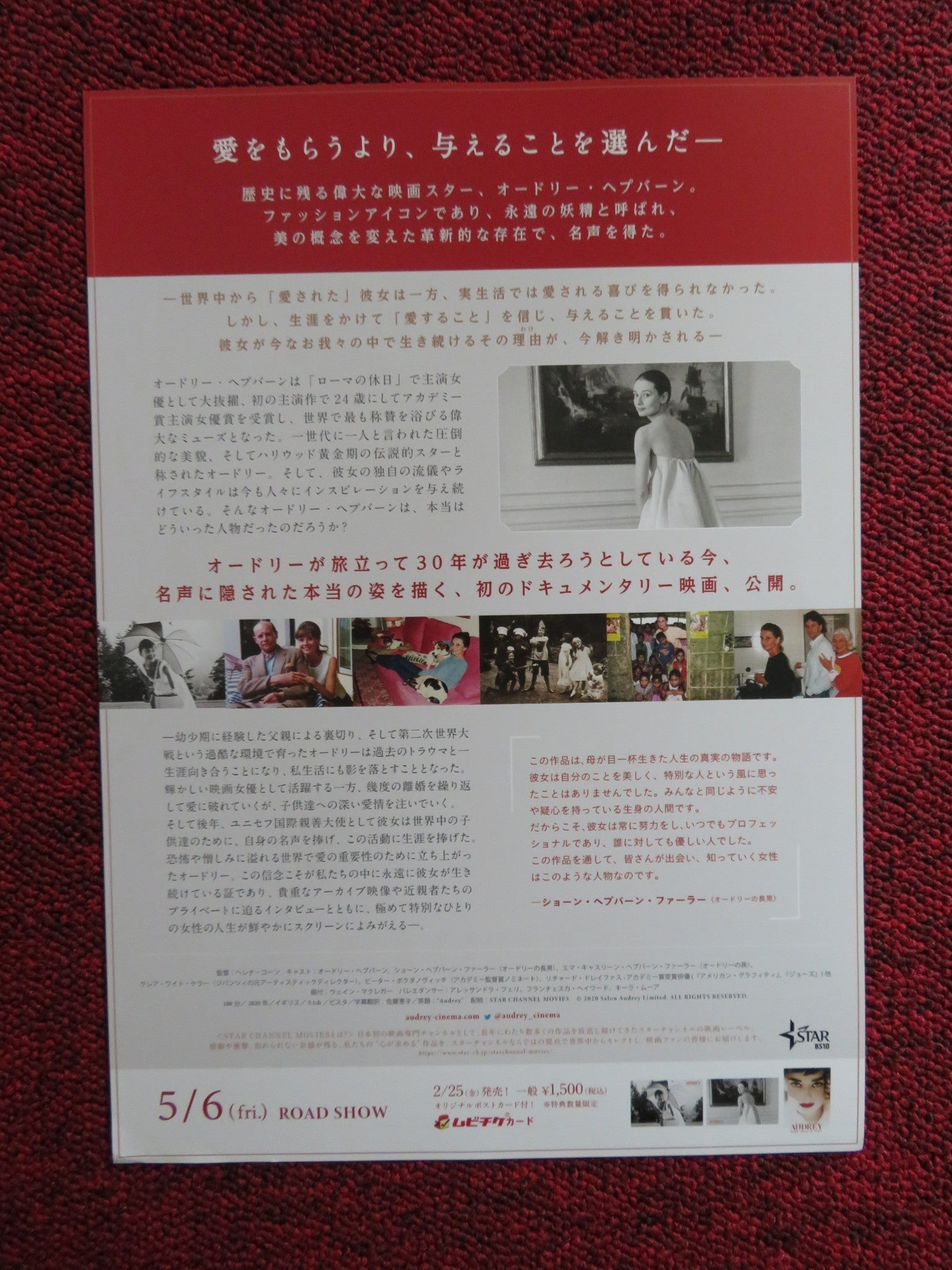 AUDREY MORE THAN AN ICON JAPANESE CHIRASHI (B5) POSTER HELENA COAN 2020 Rendezvous Cinema Movie posters