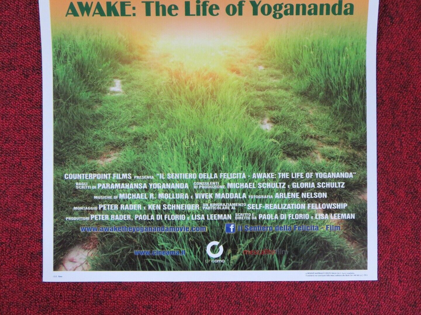 AWAKE: THE LIFE OF YOGANANDA ITALIAN LOCANDINA (27.5"x13") POSTER M BENIOFF 2014 Rendezvous Cinema Movie posters