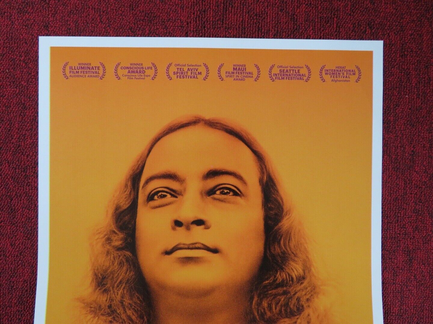AWAKE: THE LIFE OF YOGANANDA ITALIAN LOCANDINA (27.5"x13") POSTER M BENIOFF 2014 Rendezvous Cinema Movie posters