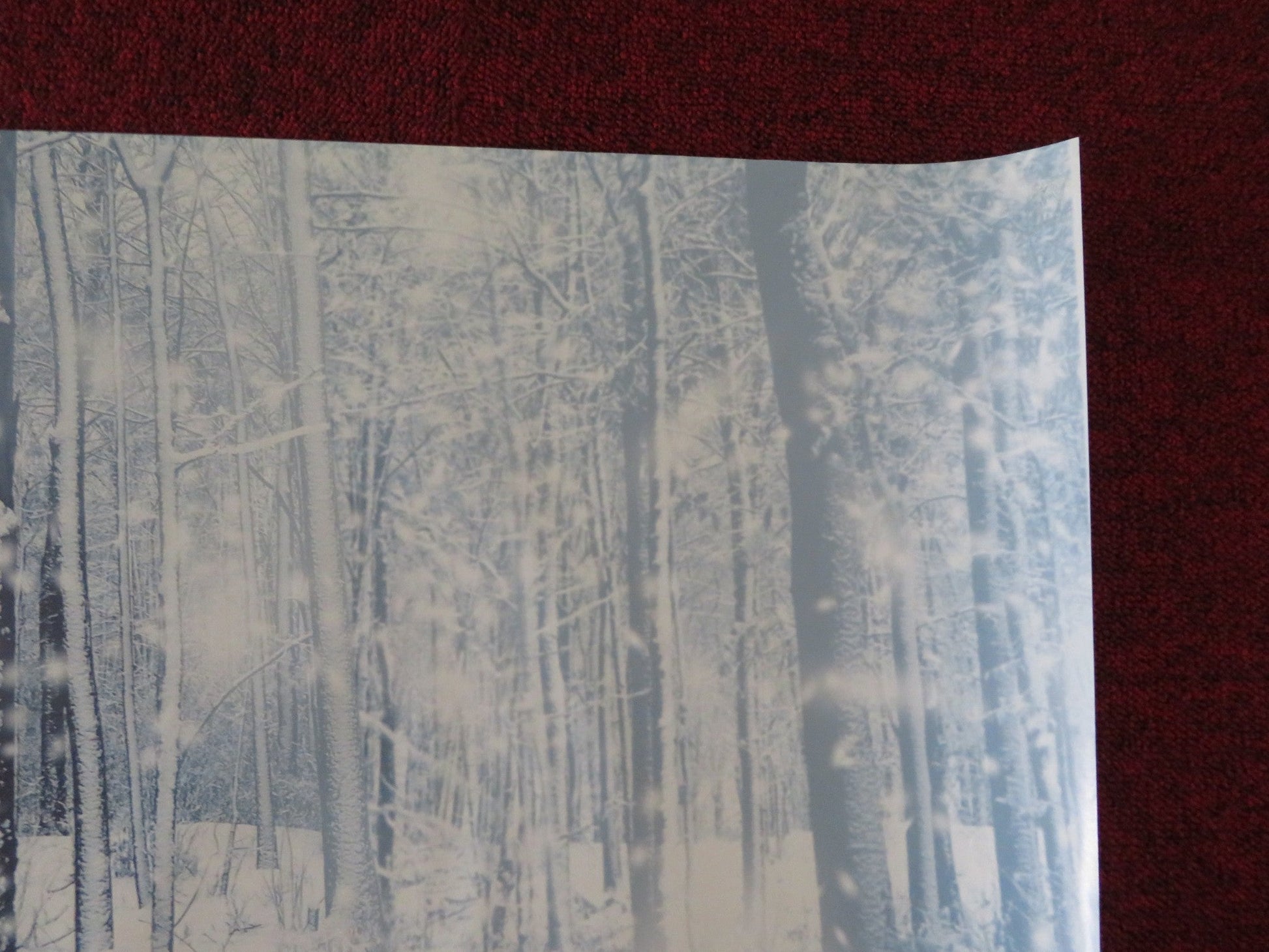 AWAY FROM HER UK QUAD (30"x 40") ROLLED POSTER JULIE CHRISTIE G. PINSENT 2006 Rendezvous Cinema Movie posters