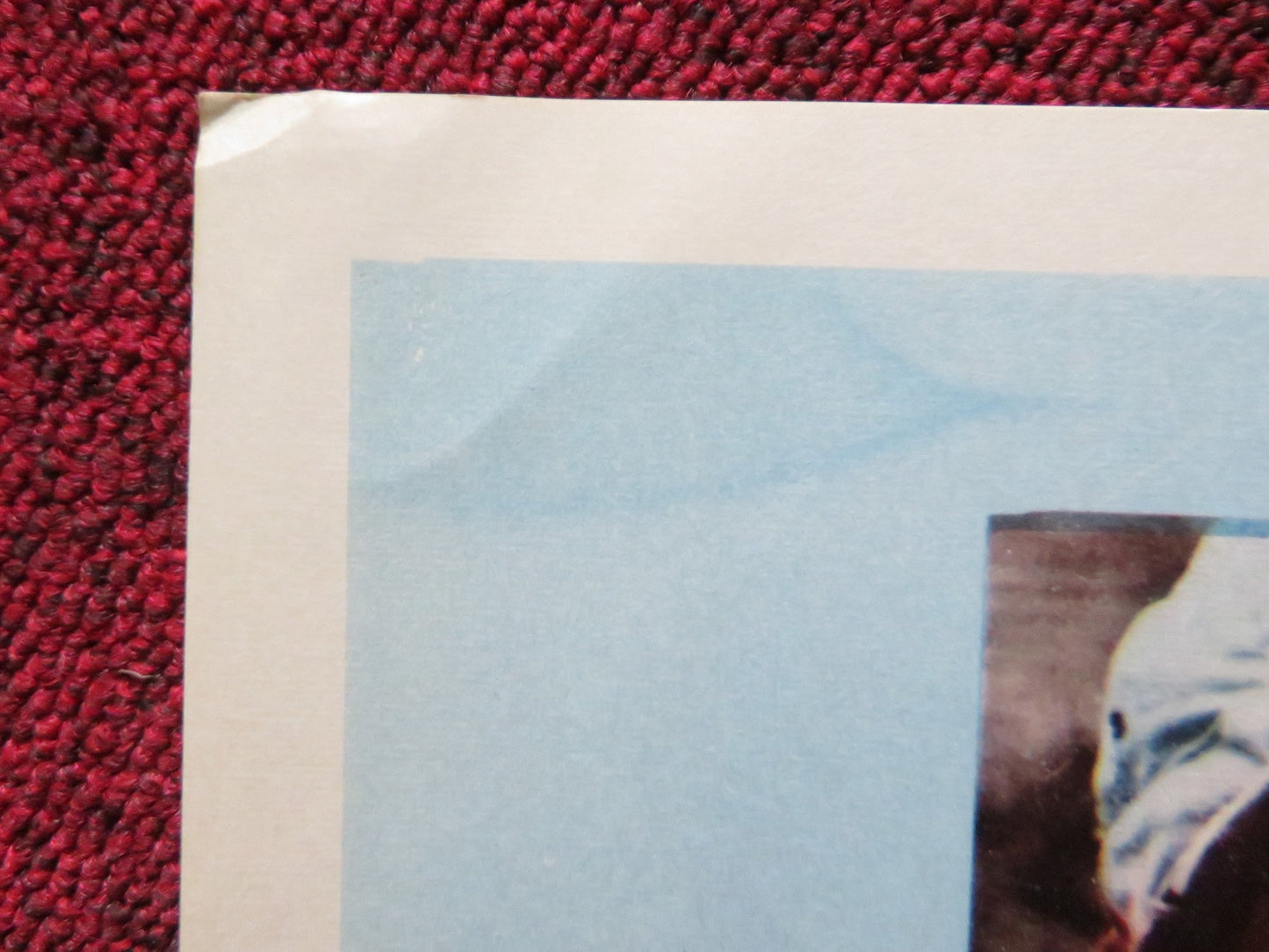 BACK DOOR TO HELL US LOBBY CARD SET JIMMIE RODGERS JACK NICHOLSON 1964 Rendezvous Cinema Movie posters