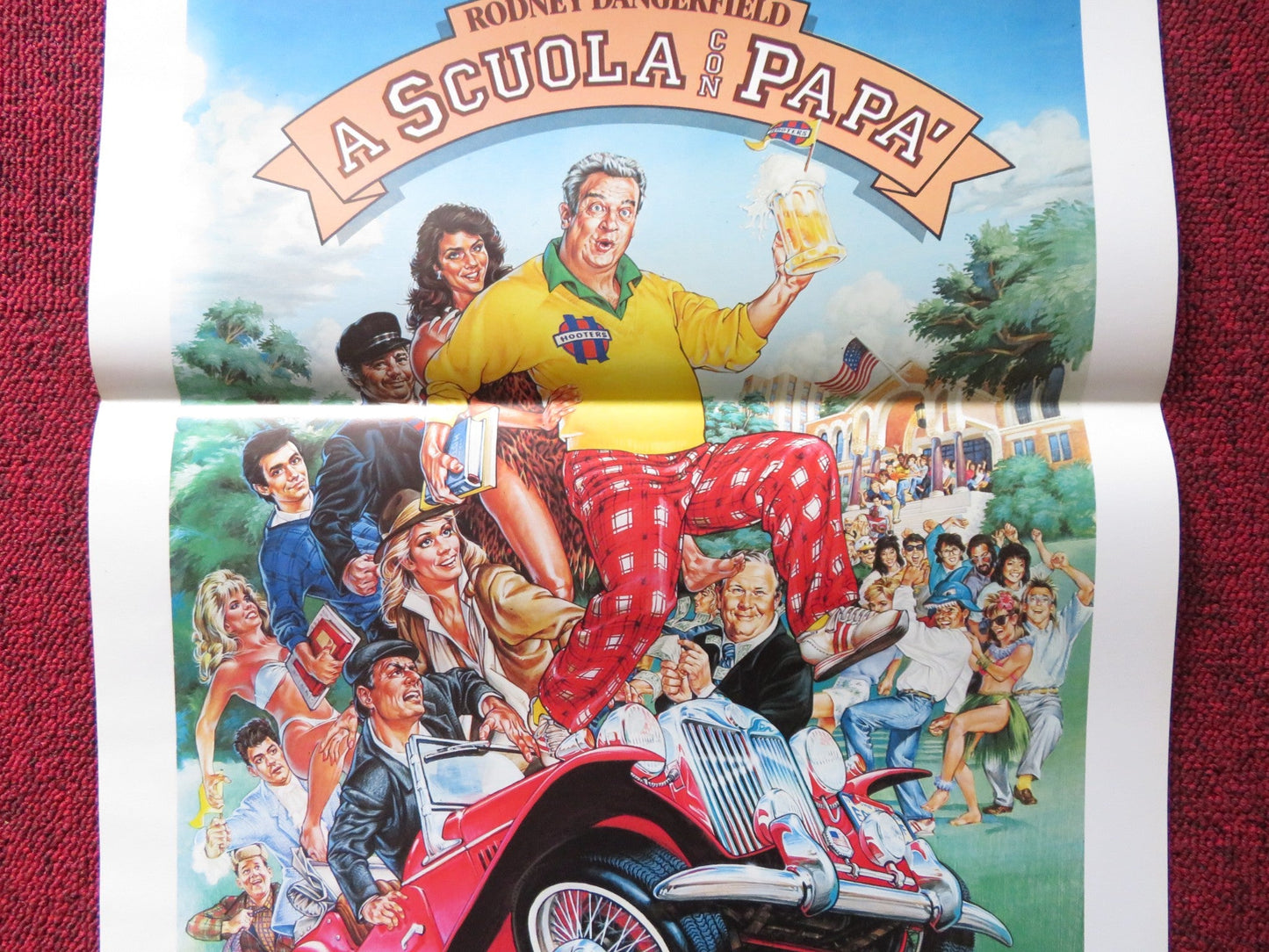 BACK TO SCHOOL - B ITALIAN LOCANDINA POSTER RODNEY DANGERFIELD S. KELLERMAN 1986 Rendezvous Cinema Movie posters