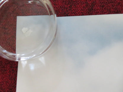 BAD NEIGHBOURS UK QUAD ROLLED POSTER SETH ROGEN ZAC EFRON 2014 Rendezvous Cinema Movie posters