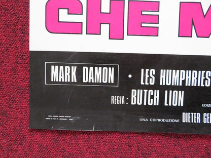 BANG, AND THE ANGELS SING ITALIAN FOGLIO ROLLED POSTER MARK DAMON CRIS HUERTA Movie posters