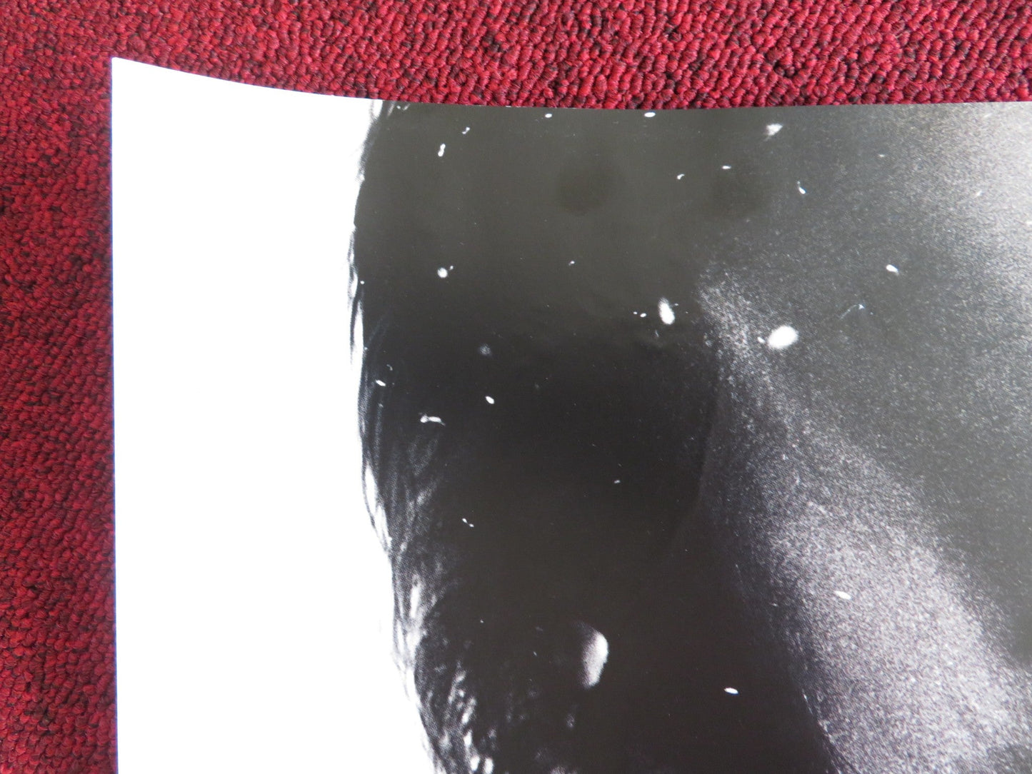 BANGKOK DANGEROUS UK QUAD (30"x 40") ROLLED POSTER NICOLAS CAGE 2008 Rendezvous Cinema Movie posters