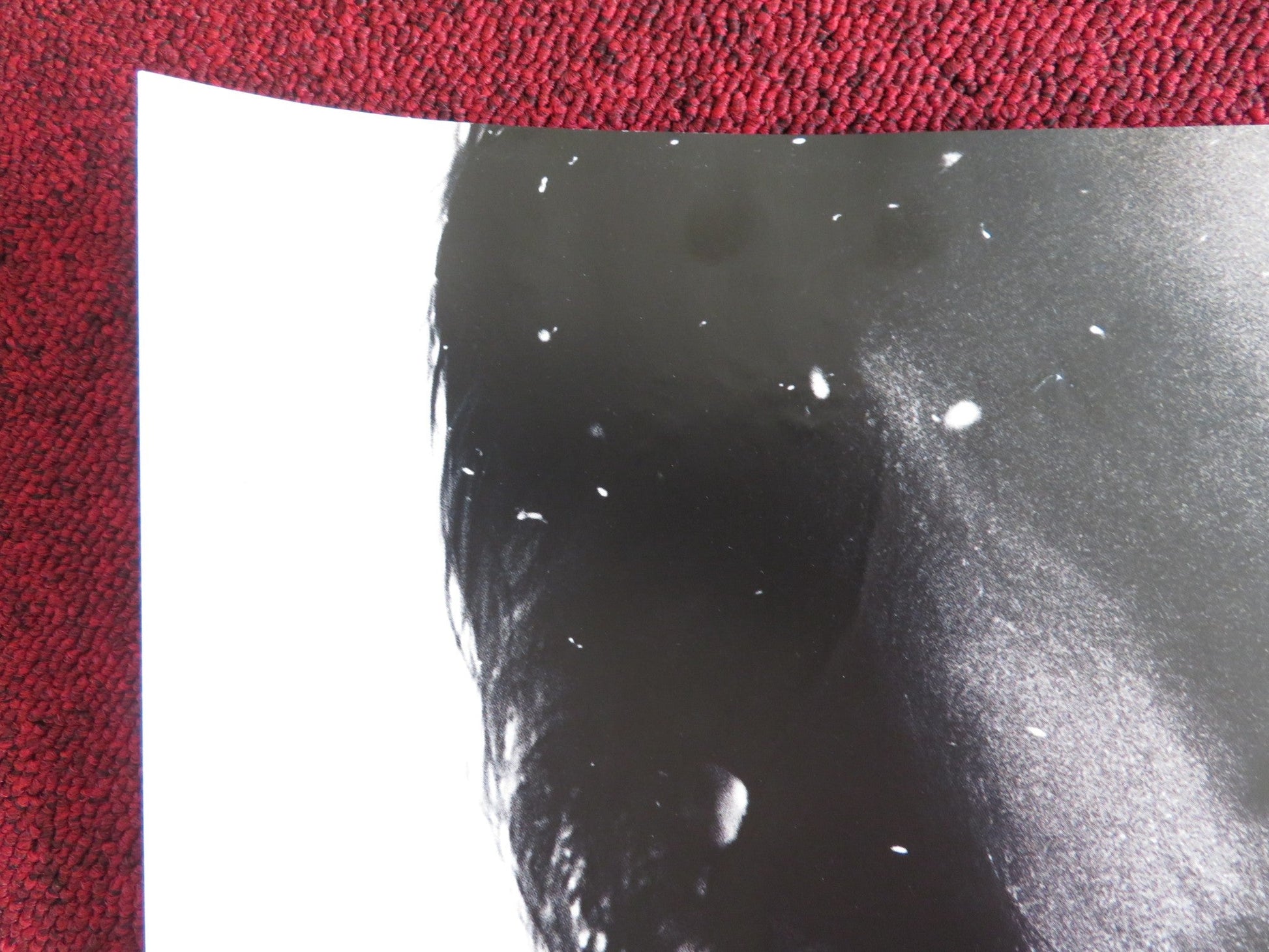 BANGKOK DANGEROUS UK QUAD (30"x 40") ROLLED POSTER NICOLAS CAGE 2008 Rendezvous Cinema Movie posters