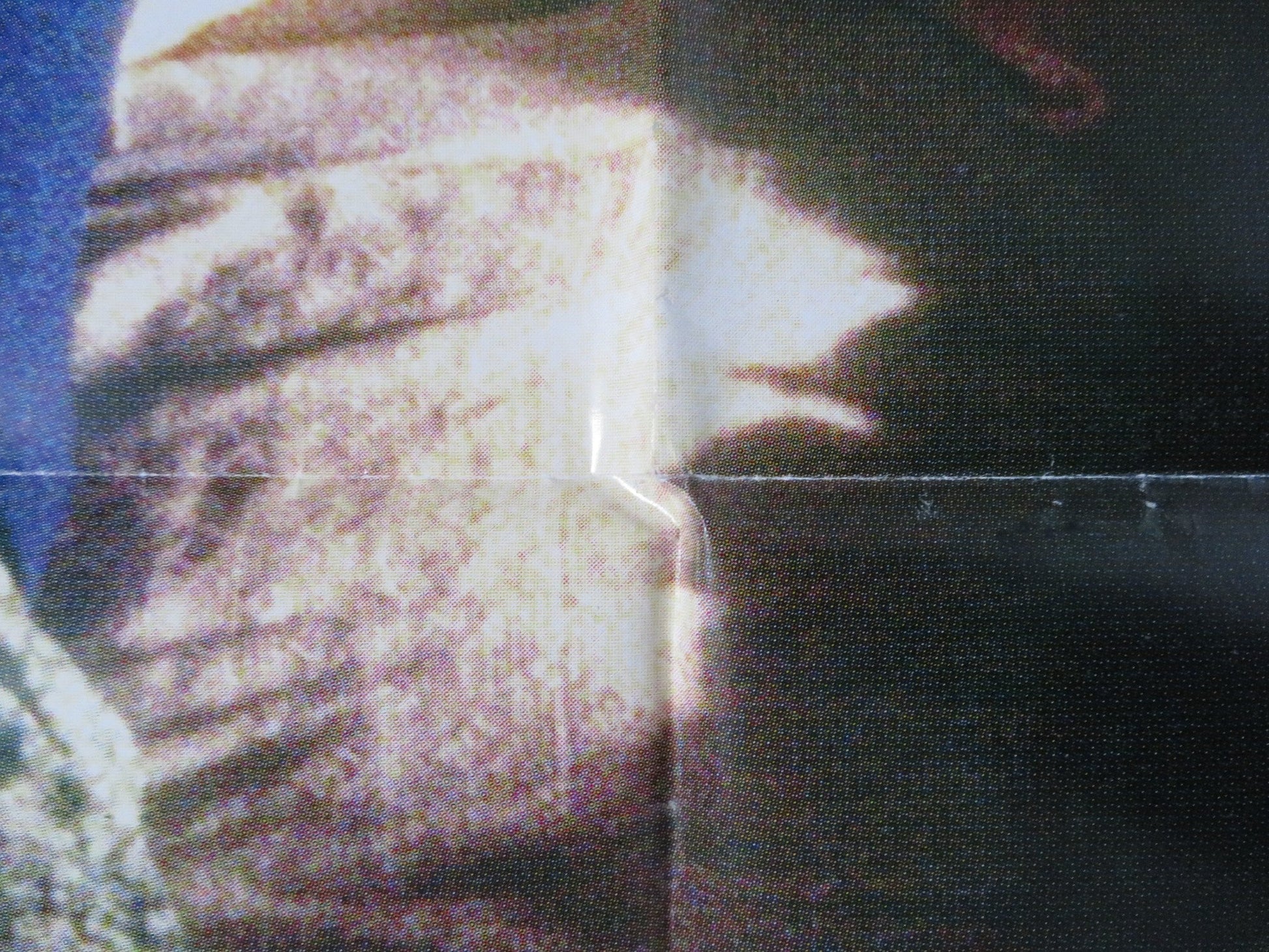 BARBARA ITALIAN FOGLIO POSTER VALERIO MASTANDREA MARCO GIALLINI 1998 Rendezvous Cinema Movie posters