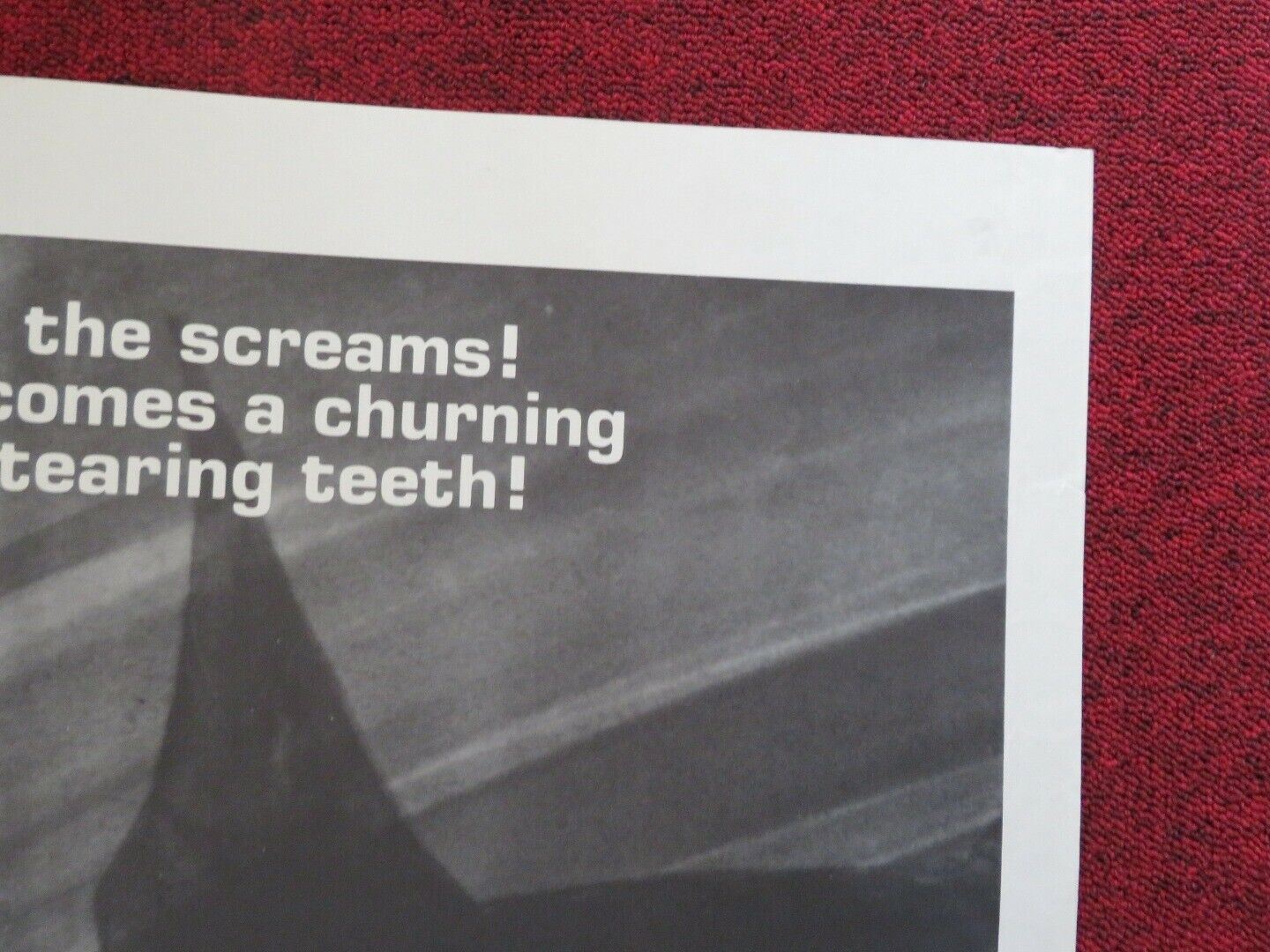 BARRACUDA FOLDED US ONE SHEET POSTER WAYNE CRAWFORD 1978 Movie posters